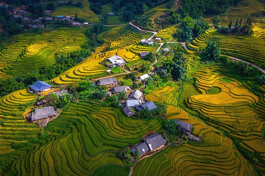 SAPA: SAPA – LAO CHAI – TA VAN – SAPA – 1 DAY